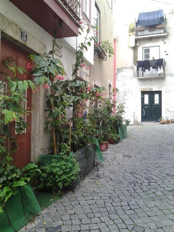 Tonic Flat Apartment Lisboa Ngoại thất bức ảnh